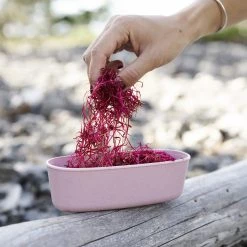 Light My Fire SnapBox Oval BIO 2 packs, vert/rose -Cuisine de Camping Soldes light my fire snapbox oval bio 2 pack sandygreen dustypink 4 1